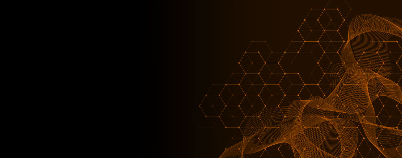  ADL Coin